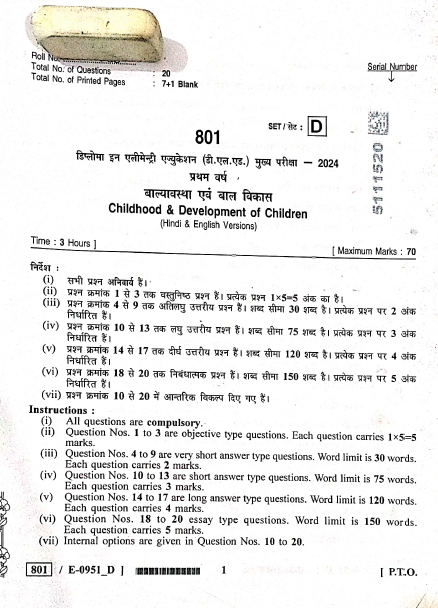 Childhood and Child Development Paper